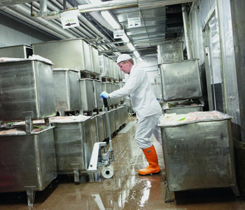 Toyota Handhubwagen für nasse Umgebungen